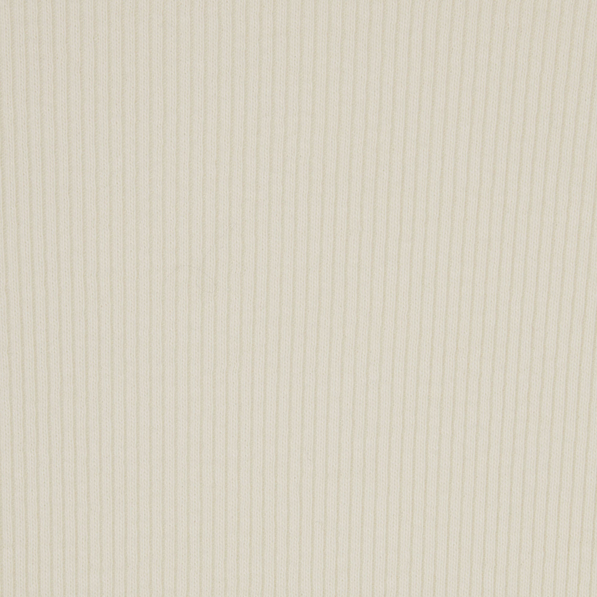 COTTON RIB BRIEF | BONE